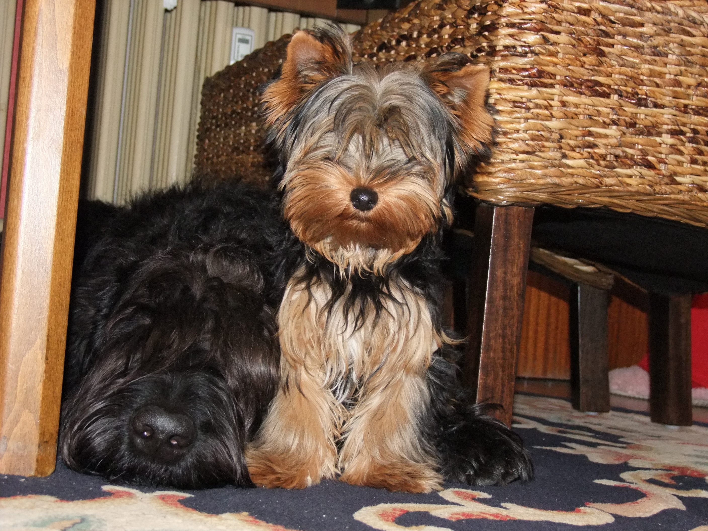 DSCF1791.jpg