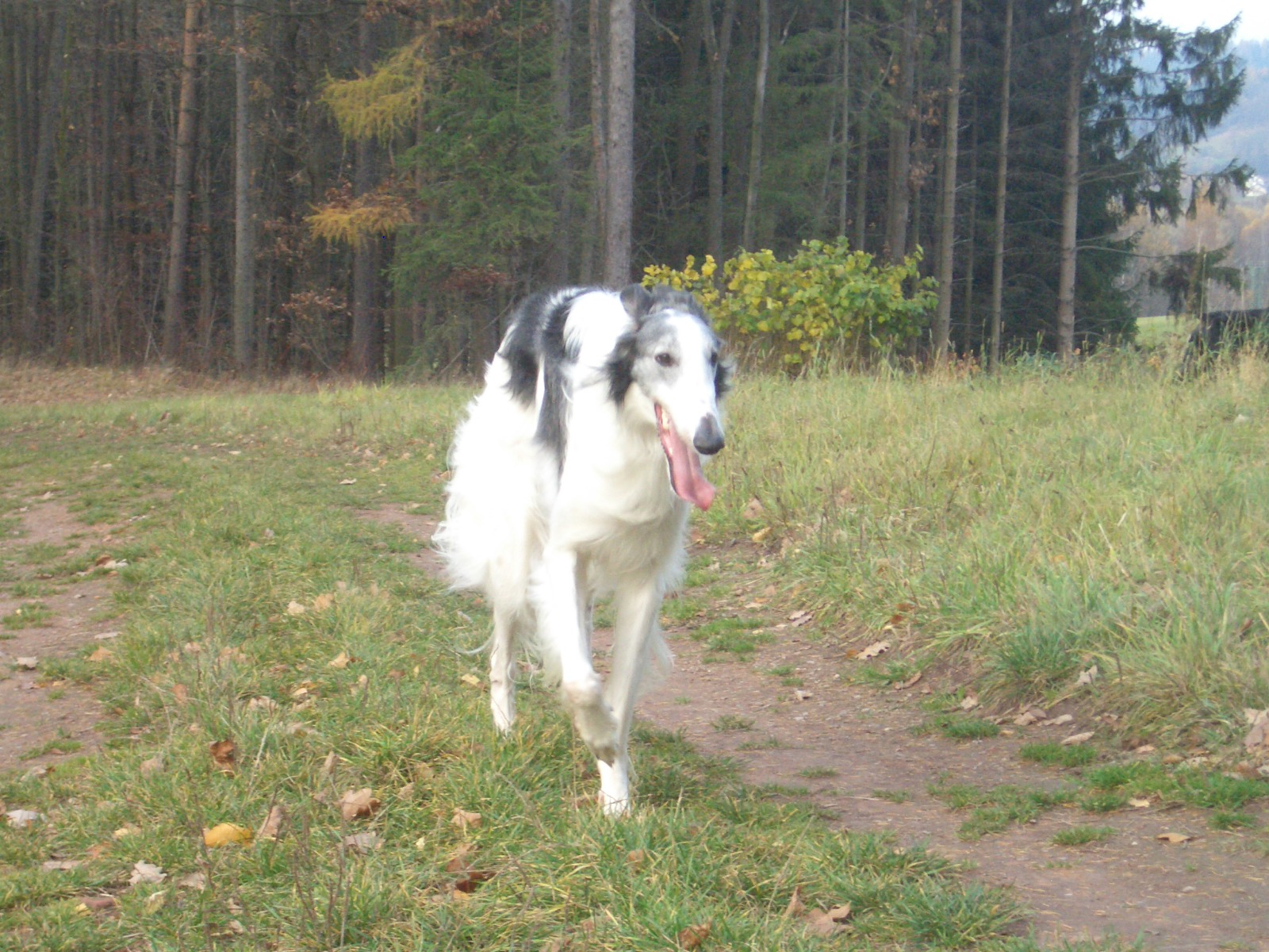 fotky 046.jpg