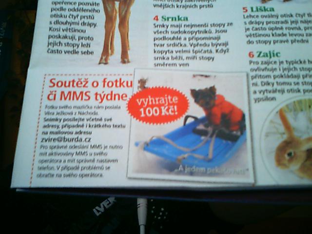 Snímek 093.jpg